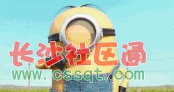СS